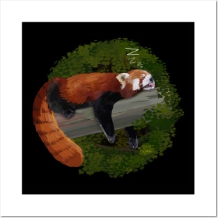 Sleepy Red Panda Posters and Art